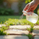 Main saupoudrant bicarbonate et versant vinaigre sur mauvaises herbes